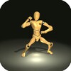 Icona di Baji Quan Trainer
