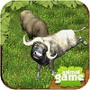 Buffalo Wild Simulation icon