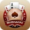 BigWinアイコン