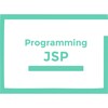 Programming with JSP icon