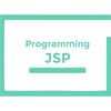 أيقونة Programming with JSP