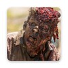 Zombie Live Wallpapers icon