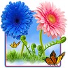 Sky Flowers HD (Free) icon