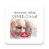 Icono de Anatomy Atlas, USMLE, Clinical