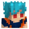 Goku Skins For Minecraft icon