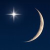 Amora icon