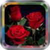 Rose Flower Live Wallpaper Pro 图标