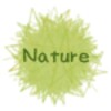 Natural Go launcher theme icon