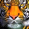 Tiger Simulator 2021 : Tiger F icon