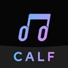 CalfVR - VR Video Player icon