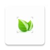 Plant Shoot, Plant Identifier icon