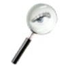 Web Spy icon