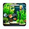 Icono de Fish Live Wallpaper 4K