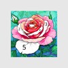 ไอคอน Color by Number Oil Painting