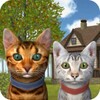 Cat Simulator icon