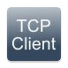 TCP/TELNET CLIENT icon