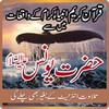 Hazrat Younus A.S icon