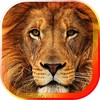 Lion Klingt HD Live Wallpaper icon