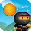 ไอคอน 8bitninja