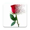 Icona di Pixel dispersion effect-Editor