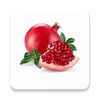 Anemia Care Foods & Diet Tips icon