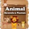 Animal Sound icon