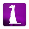 Meerkat browser - DPI bypass web browser icon