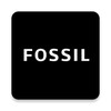 Fossil Q icon