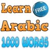 Icône Learn Arabic Words