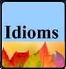 Idioms & Phrases SSC CGL 2017 icon