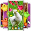 Easter Chicks Live Wallpaper icon