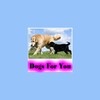 Dogs For You icon