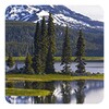 Icono de Nature Live Wallpaper
