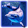 Dolphins Pearl Deluxe slot icon