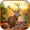 Deer Hunting icon