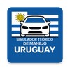 Teórico de Manejo icon