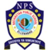 NPS icon