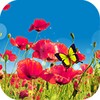 Icono de Brilliant Sky
