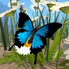 Icône Butterfly Simulator