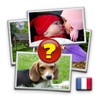 4 Images: Trouvez le mot icon