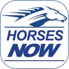 أيقونة Horse Races Now