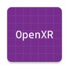 OpenXR Runtime Broker icon
