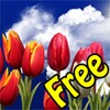 Flowers HD free Live Wallpaper icon