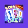 101 Okey VIP icon