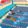 Swimming Pool Rush Water Race icon