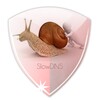Icono de SlowDNS