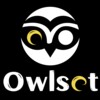 Icono de Owlset