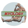 Human Anatomy. Myology icon