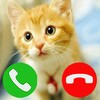 Fake call with cat 아이콘