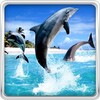 Pictogramă Dolphin HD Live Wallpaper